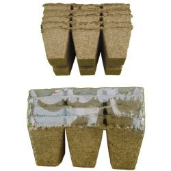 Kwadratowe doniczki torfowe - 6 x 6 cm - 36 sztuk