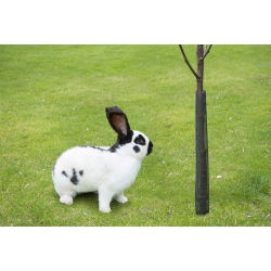 Osłonka ochronna na drzewka - 80 cm - 3 szt.