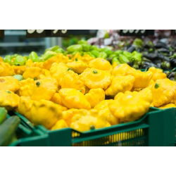 Dynia zwyczajna - Patison żółty Orange - 28 nasion