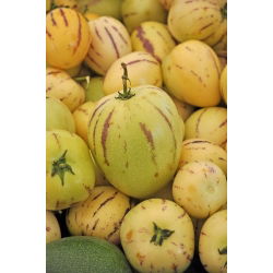 Pepino, miechunka melonowa - 10 nasion