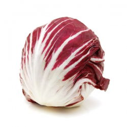 Cykoria sałatowa radicchio Palla Rossa 3 - 360 nasion