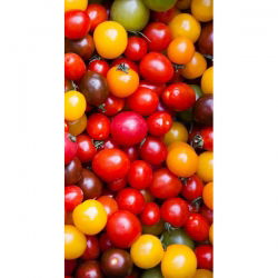 Pomidorki cherry - mieszanka kolorów!