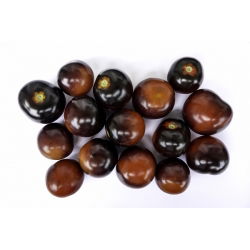 Pomidor wysoki - Black cherry - 60 nasion