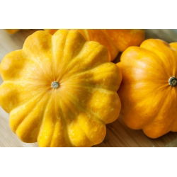 Dynia zwyczajna - Patison żółty Orange - 28 nasion