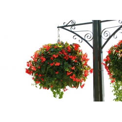 Wiszący koszyk na kwiaty z matą kokosową - 30 cm