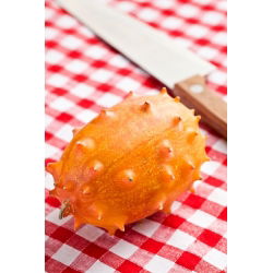 Kiwano, ogórek afrykański - 18 nasion