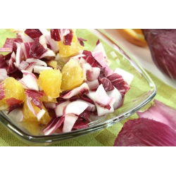 Cykoria sałatowa radicchio Palla Rossa 3 - 360 nasion