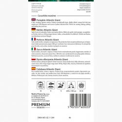 Dynia olbrzymia - Atlantic Giant - gigantyczne owoce, nawet 300 kg - 12 nasiona