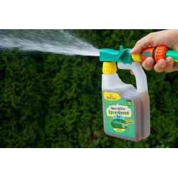 SprayGreen - nawóz dolistny do tui, żywotników w formie konewki - gotowy do użycia - Zielony Dom - 950 ml