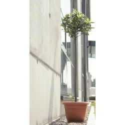 Doniczka zewnętrzna Terra z podstawką - średnica 20 cm - terakota