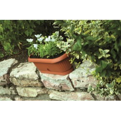 Kaktusiarka Terra 26,5 cm - terakota - Prosperplast