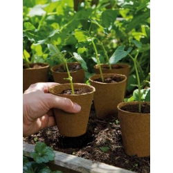 Okrągłe doniczki torfowe - 6 cm śr. - 500 sztuk