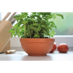 Niska doniczka Misa - średnica 15 cm - terakota