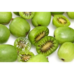 Aktinidia Kiwi - Issai - samopylna - sadzonka