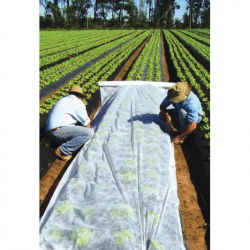 Agrowłóknina biała wiosenna - 3,20 m x 10,00 m - Megran