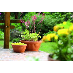 Niska doniczka zewnętrzna Terra - średnica 20 cm - terakota