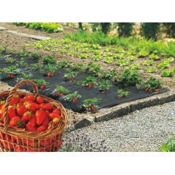 Folia perforowana do ściółkowania truskawek - 1,4 m x 10 m