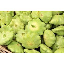 Dynia zwyczajna - Patison Okra - 75 nasion
