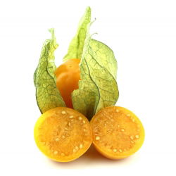 Rodzynek brazylijski - miechunka jadalna