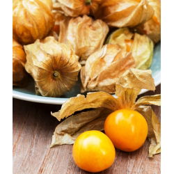 Rodzynek brazylijski - miechunka jadalna