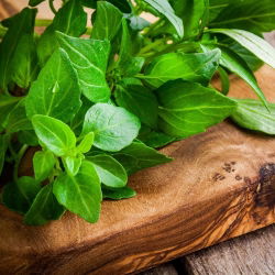 Oregano greckie - bardziej intensywne od zwykłego! - 750 nasion