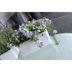Podłużna doniczka z podstawką Coubi 24 x 12 cm - Ziołówka - Grafit - Prosperplast