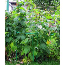 Półokrągła, metalowa podpora do roślin - 39 cm średnicy