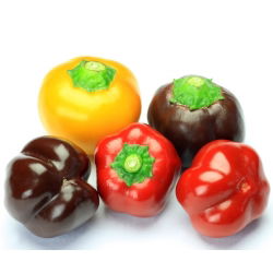 Papryka słodka mieszanka odmian do uprawy w gruncie