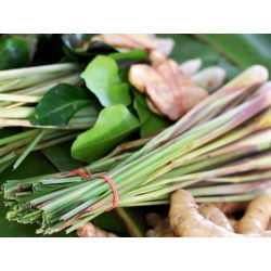 Trawa cytrynowa - wyjątkowy smak i aromat! - 400 nasion