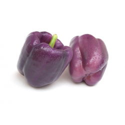 Papryka słodka do uprawy w gruncie - ODA - 80 nasion