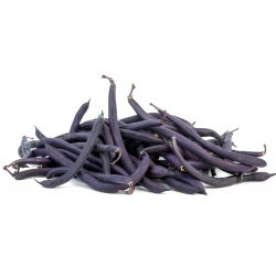 Fasola szparagowa, karłowa - Purple Teepee - 100 nasion
