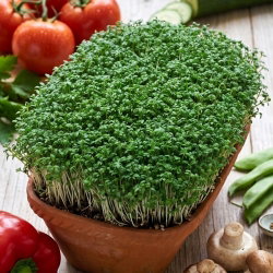 BIO Rzeżucha - Certyfikowane nasiona ekologiczne - 2250 nasion