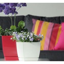 Kwadratowa doniczka z podstawką Coubi - 18 cm - biała - Prosperplast
