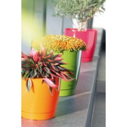 Okrągła doniczka z podstawką Coubi - 18 cm - Oliwka - Prosperplast