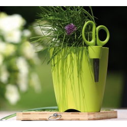 Limes Uno - Doniczka do ziół okrągła śr. 13 cm - biała