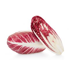 Cykoria liściowa - Rossa di Treviso - 720 nasion