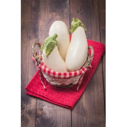 Oberżyna, Bakłażan White Egg - 125 nasion