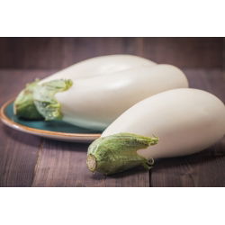 Oberżyna, Bakłażan White Egg - 125 nasion