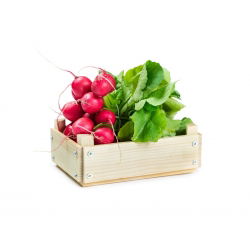 Rzodkiewka Cherry Belle - 850 nasion