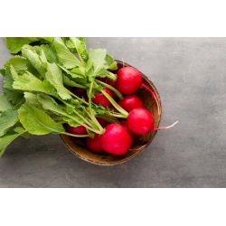 Rzodkiewka Cherry Belle - 850 nasion