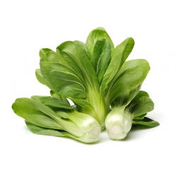Kapusta chińska Pak-Choi  