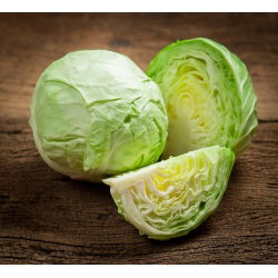 Kapusta głowiasta biała Ditmarska - 480 nasion