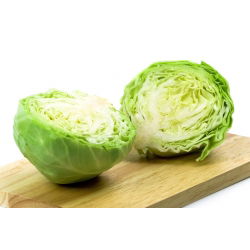 Kapusta głowiasta biała Ditmarska - 480 nasion