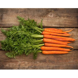 Marchew Amsterdam 3 - 100 gram - 85000 nasion
