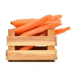 Marchew Koral - 50 gram - 42500 nasion