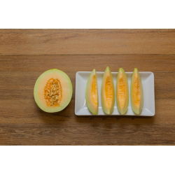 Melon cukrowy Charentais - 90 nasion
