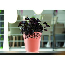 Osłonka z koronkowym wykończeniem, ażurowa Naturo - 17,5 cm - mocca