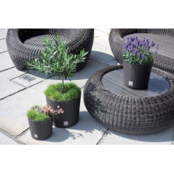 Doniczka okrągła + wkład Rato round - 20 cm - umbra, ciemny brąz