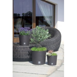 Doniczka okrągła + wkład Rato round - 20 cm - umbra, ciemny brąz