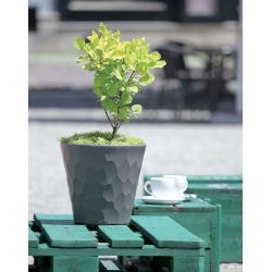 Doniczka okrągła Rocka - lekka i ozdobna - 35 cm - mocca